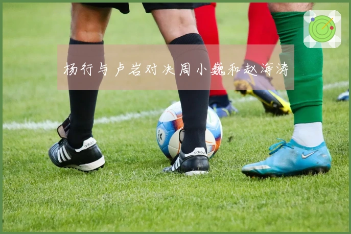 杨行与卢岩对决周小巍和赵海涛