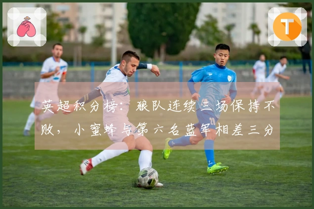 英超积分榜：狼队连续三场保持不败，小蜜蜂与第六名蓝军相差三分