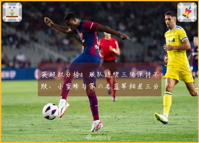 英超积分榜：狼队连续三场保持不败，小蜜蜂与第六名蓝军相差三分