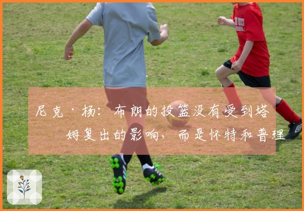 尼克·杨：布朗的投篮没有受到塔图姆复出的影响，而是怀特和普理查德投得较少